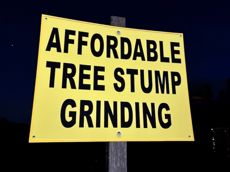 Affordable Tree Stump Grinding